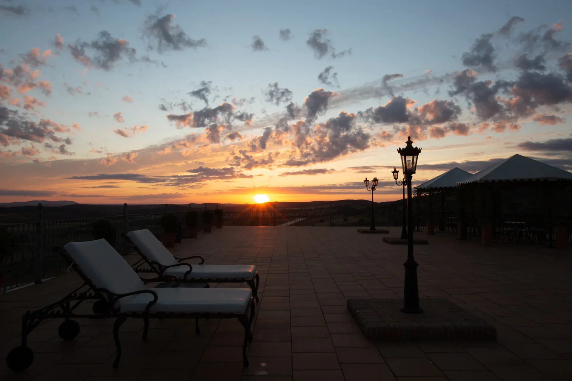 Retama — photo 15