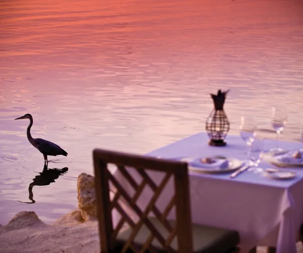 The Dining Room at Little Palm Island, Big Pine Key