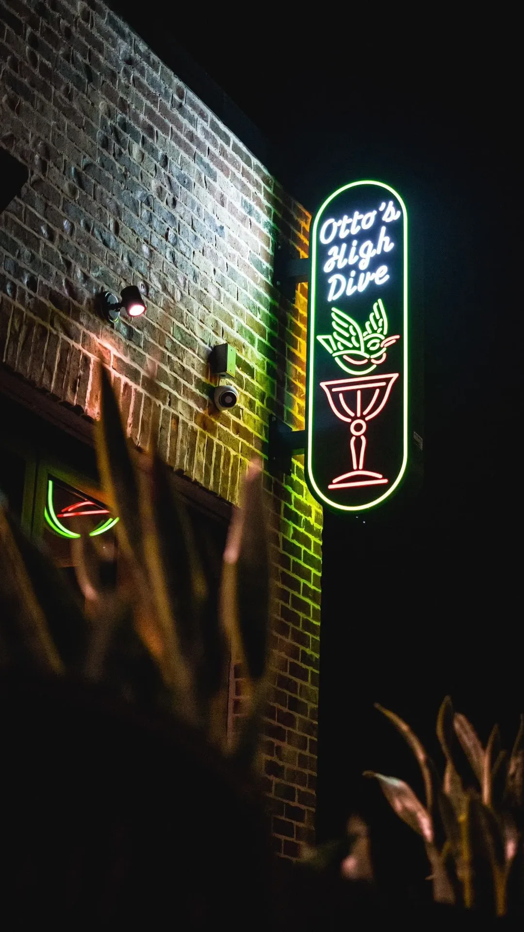 Otto's High Dive — photo 17