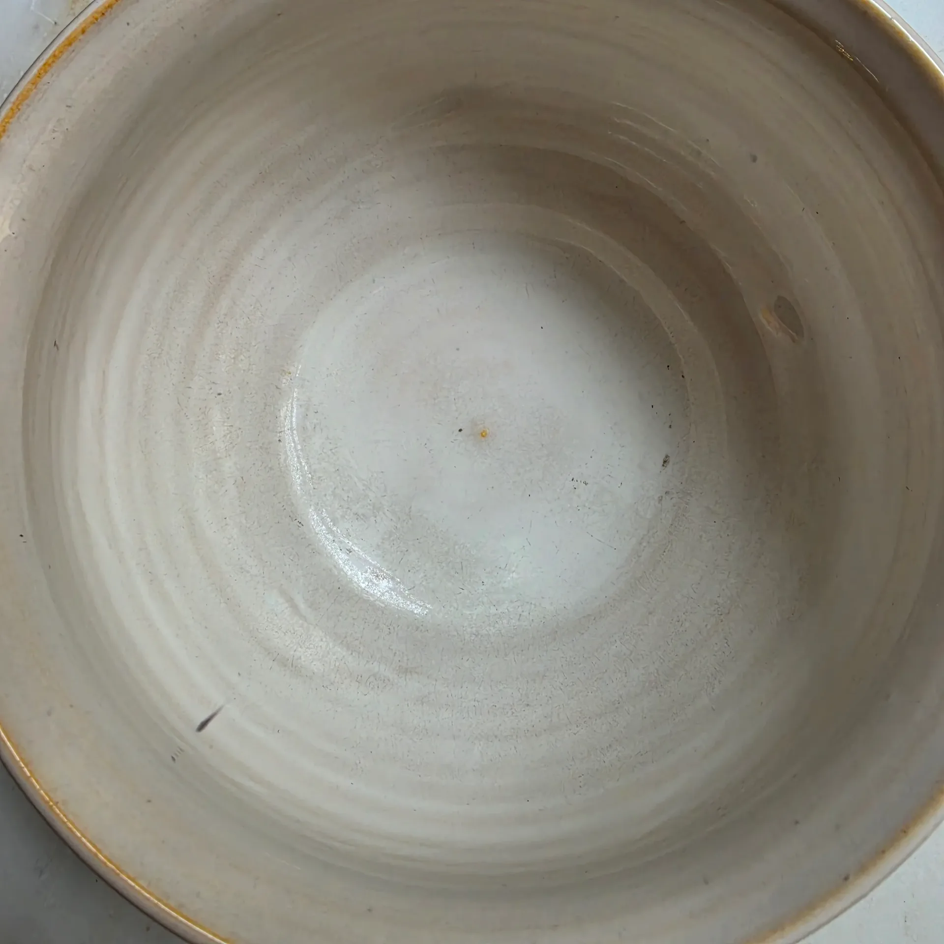 Antstory — photo 33