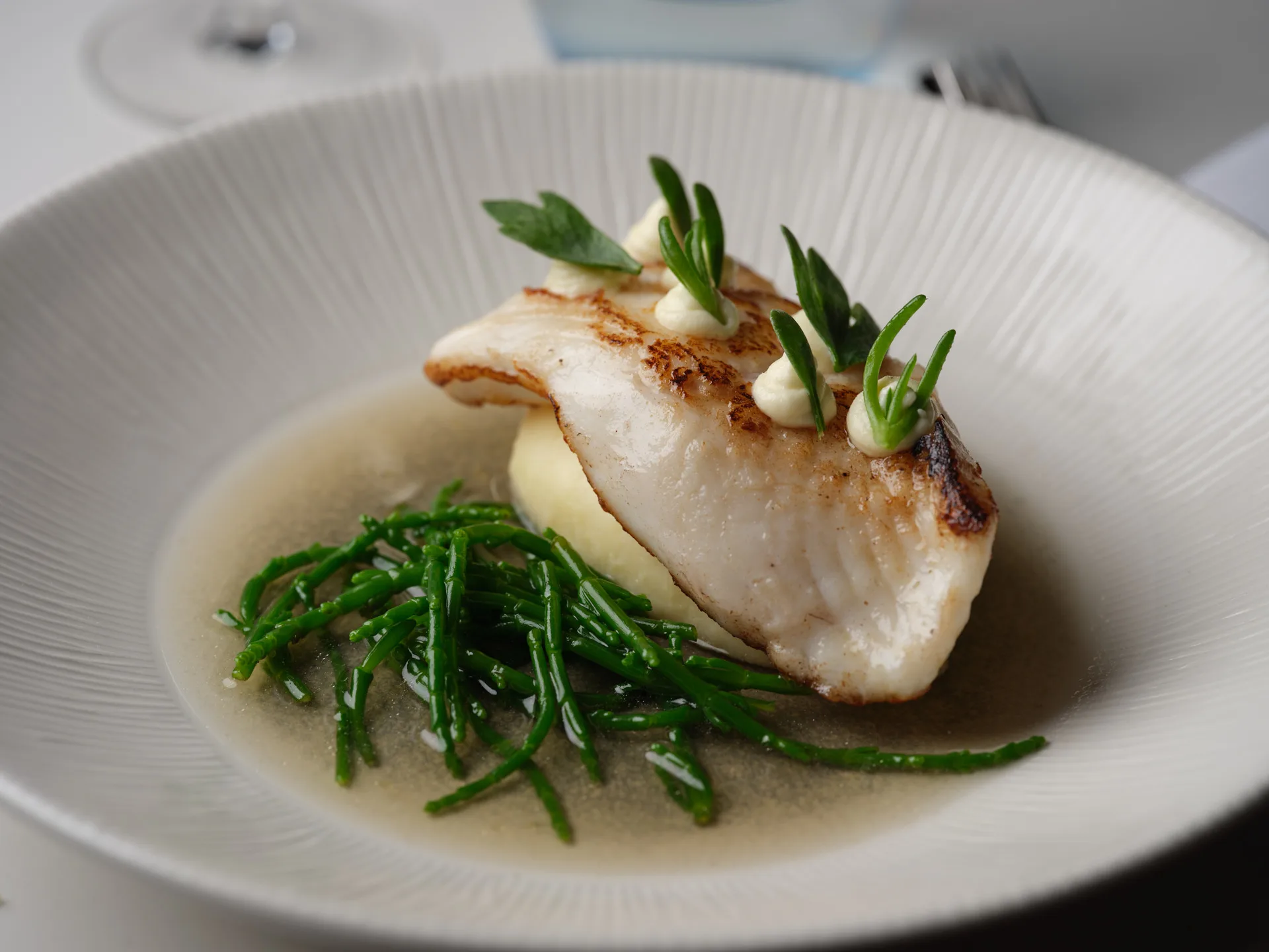 Samphire — photo 36