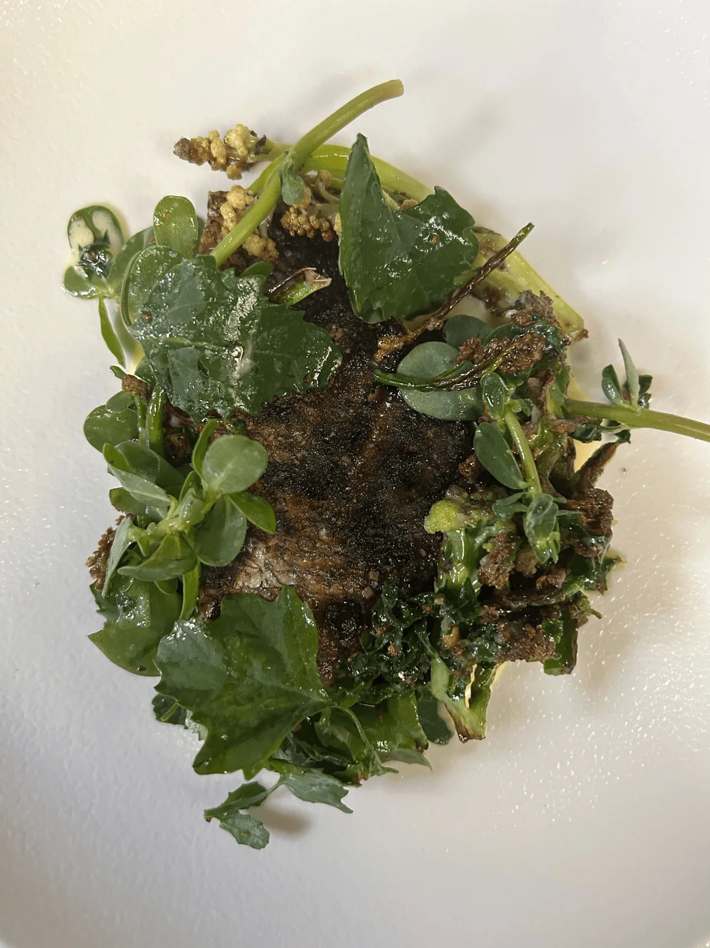 Galea — photo 18