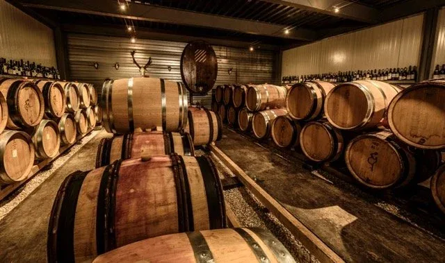 Daróg Wine Bar — photo 22