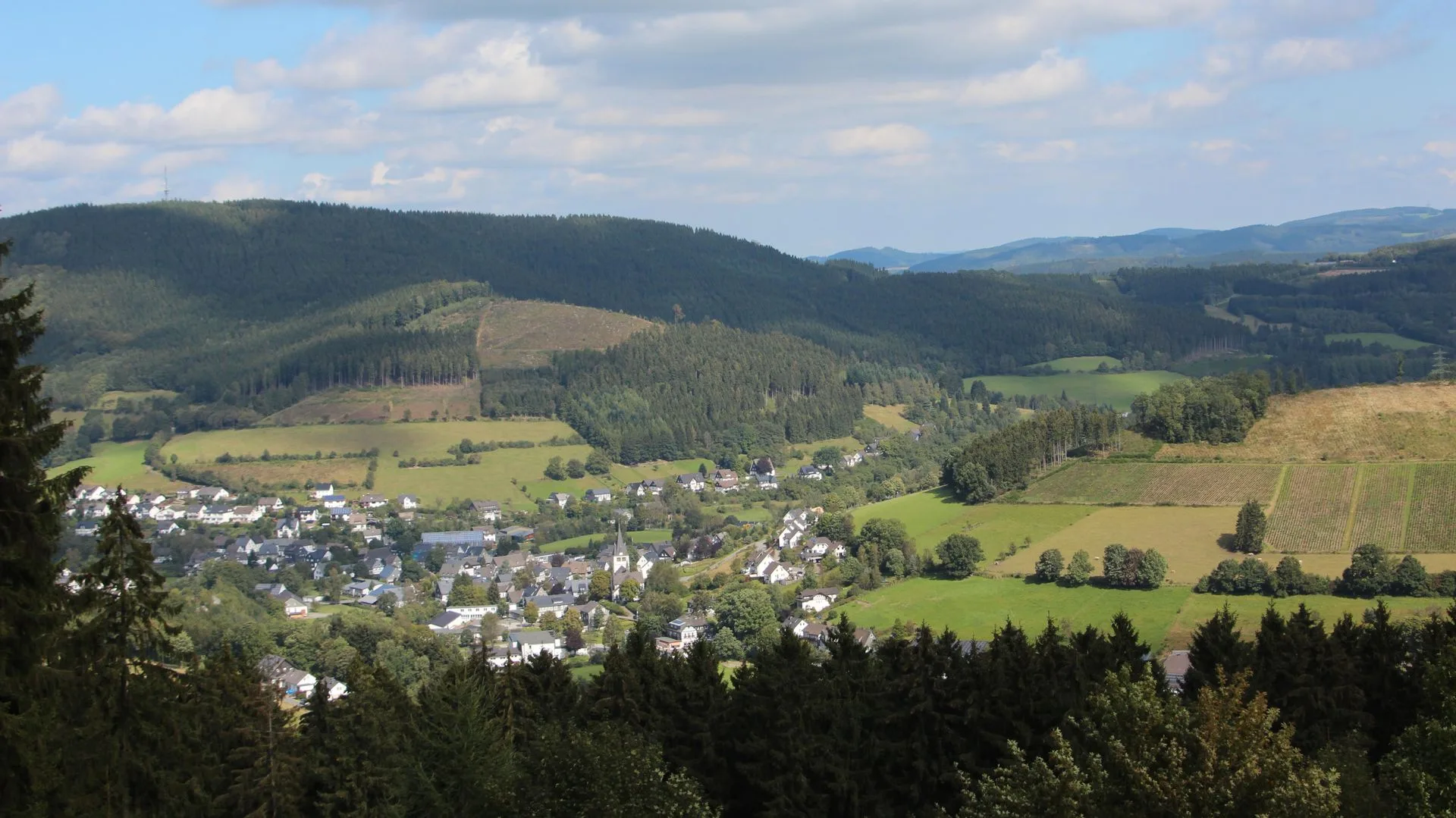 Restaurant Gasthof Hubertus — photo 5