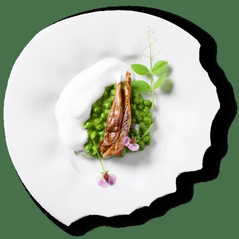 Mace restaurant — photo 40