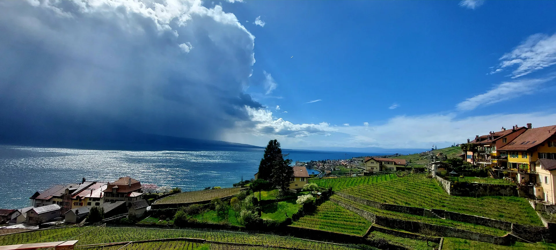 Auberge du Vigneron — photo 6