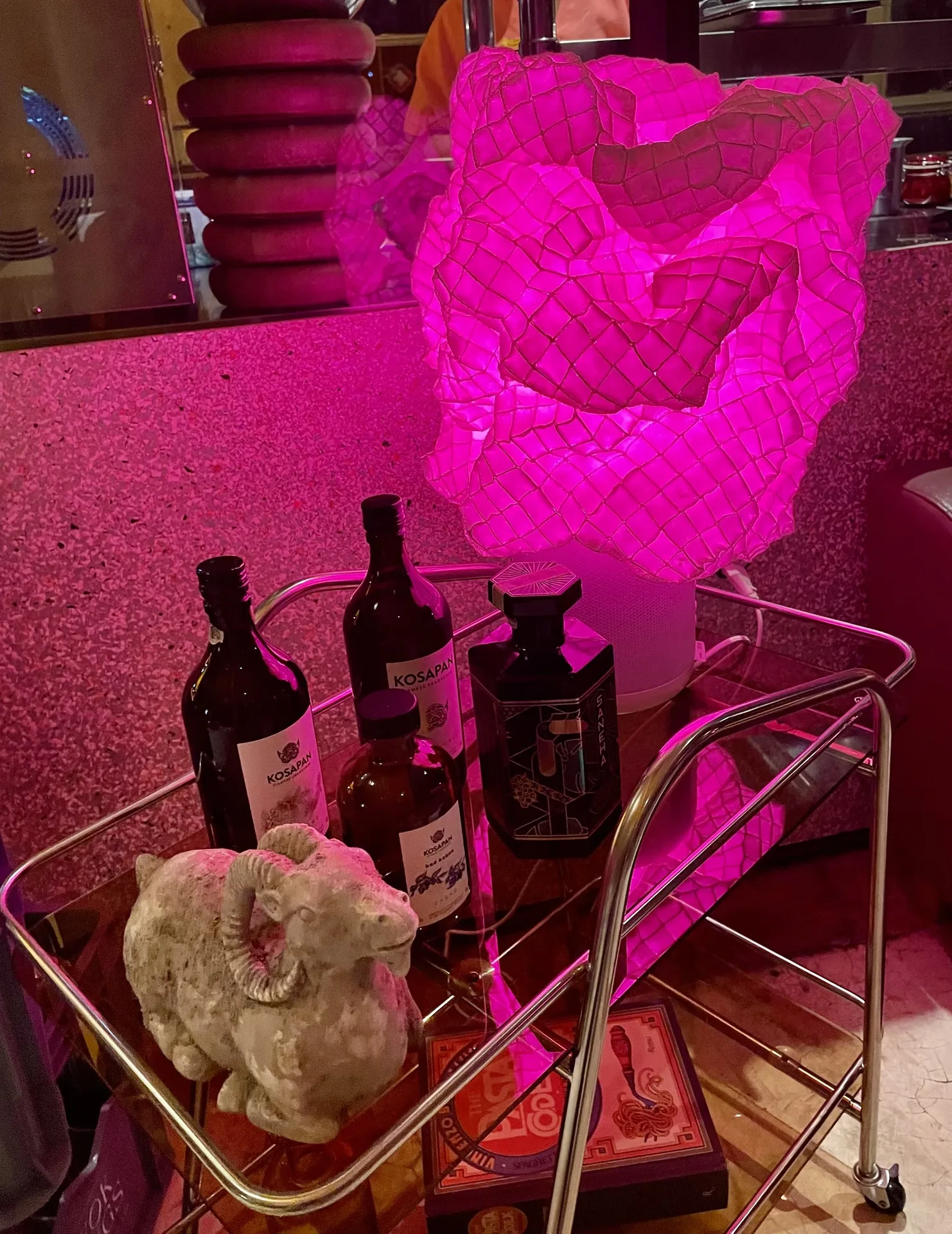 ELECTRIC SHEEP — photo 32