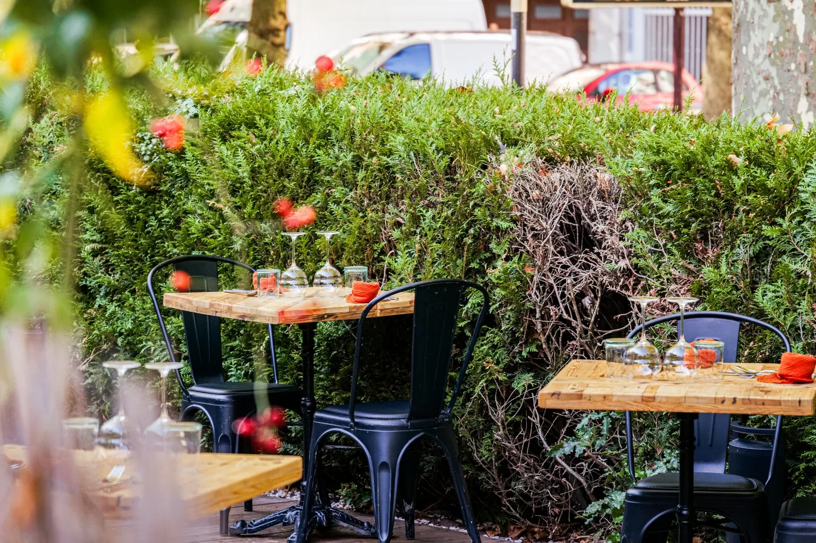 Le Restaurant — photo 20
