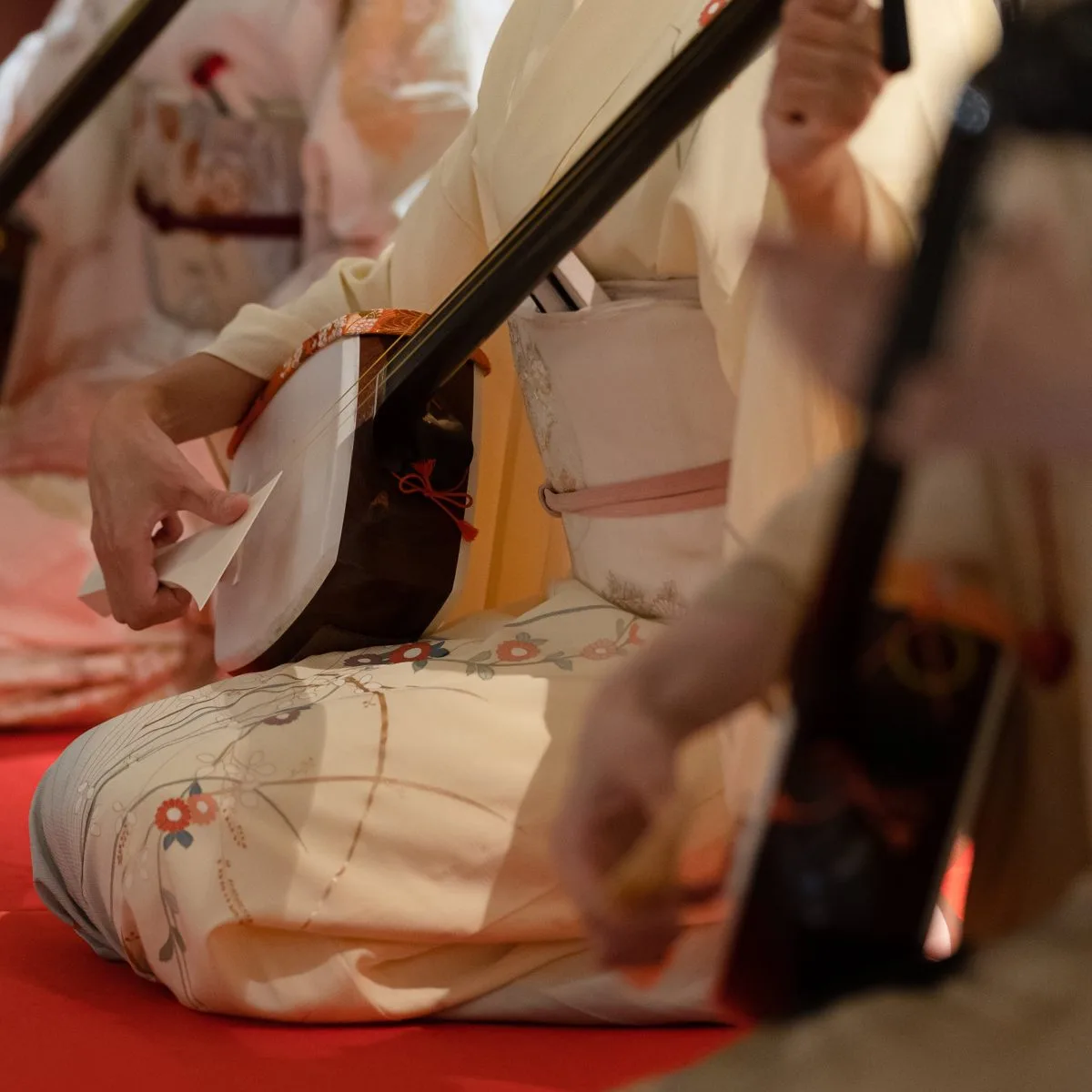 Matsunozushi — photo 30