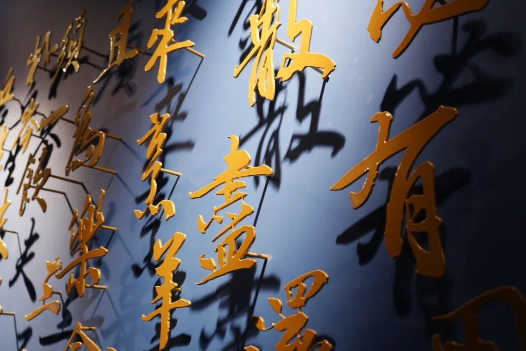 Zheng — photo 24