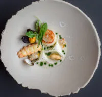 ONE — food