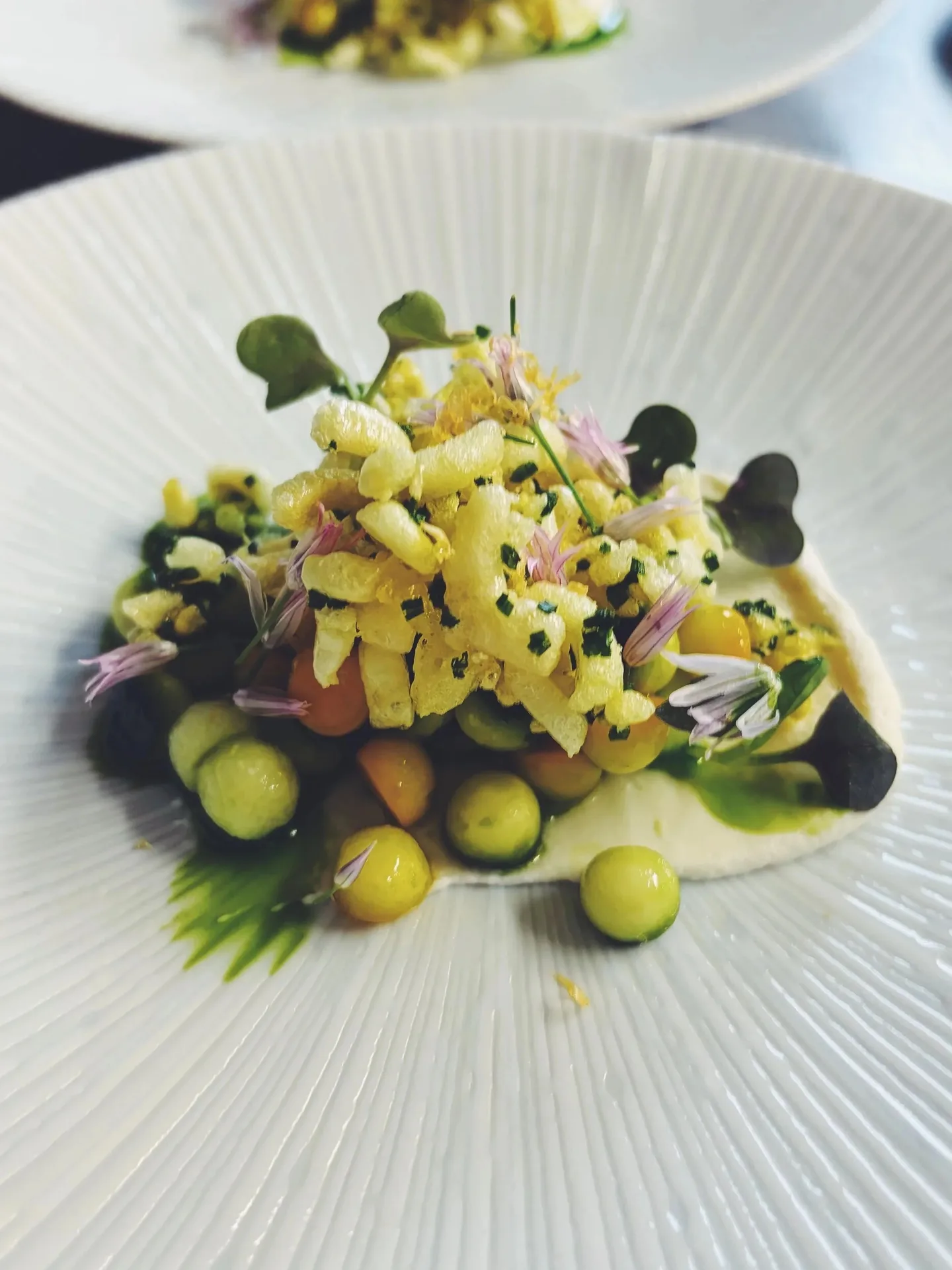 Restaurant Elm — photo 42