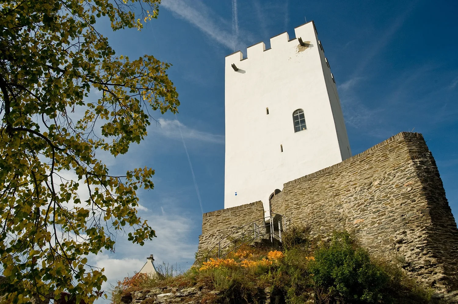 Zum Weißen Schwanen — photo 8