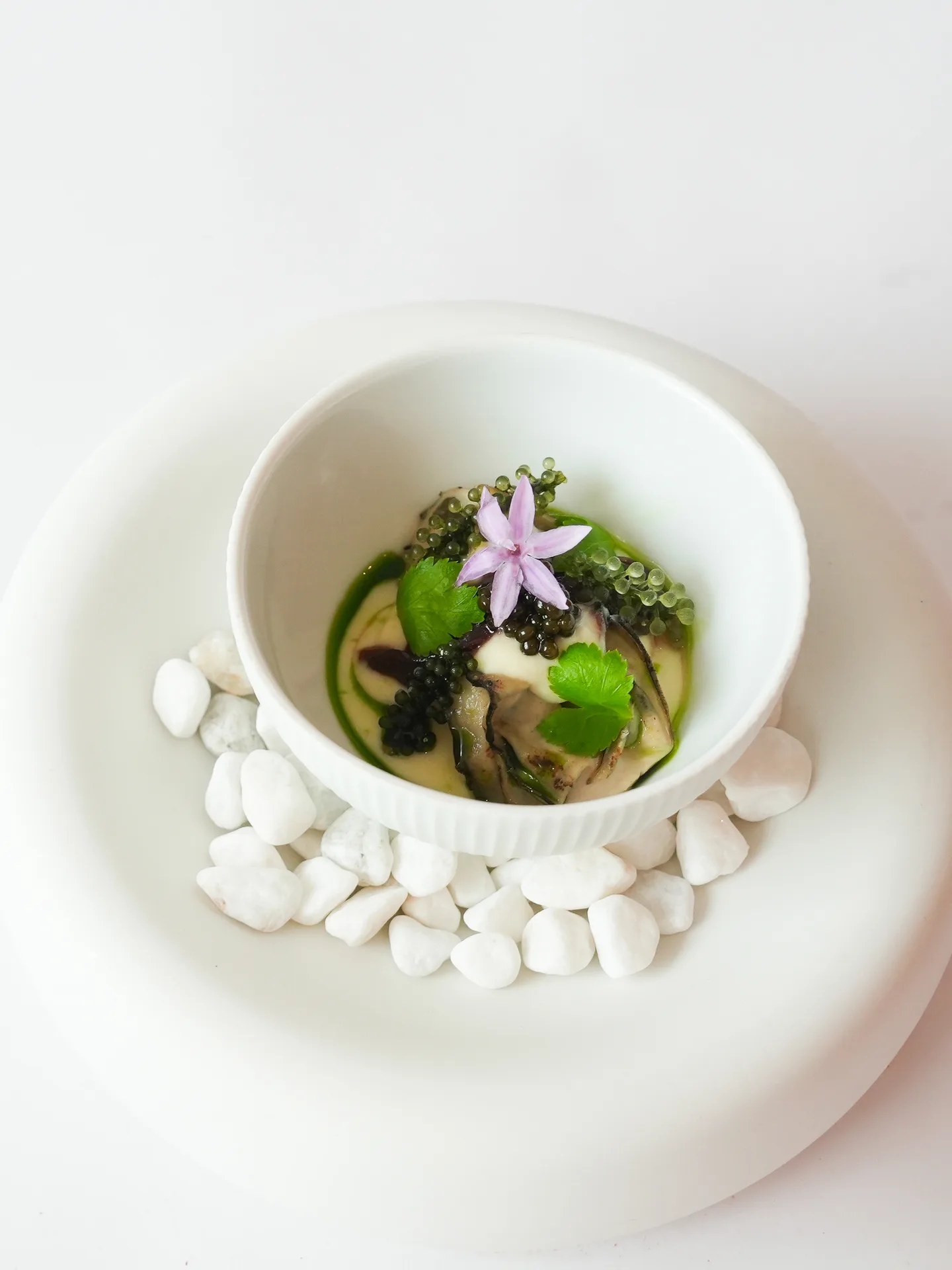 Cho — photo 25