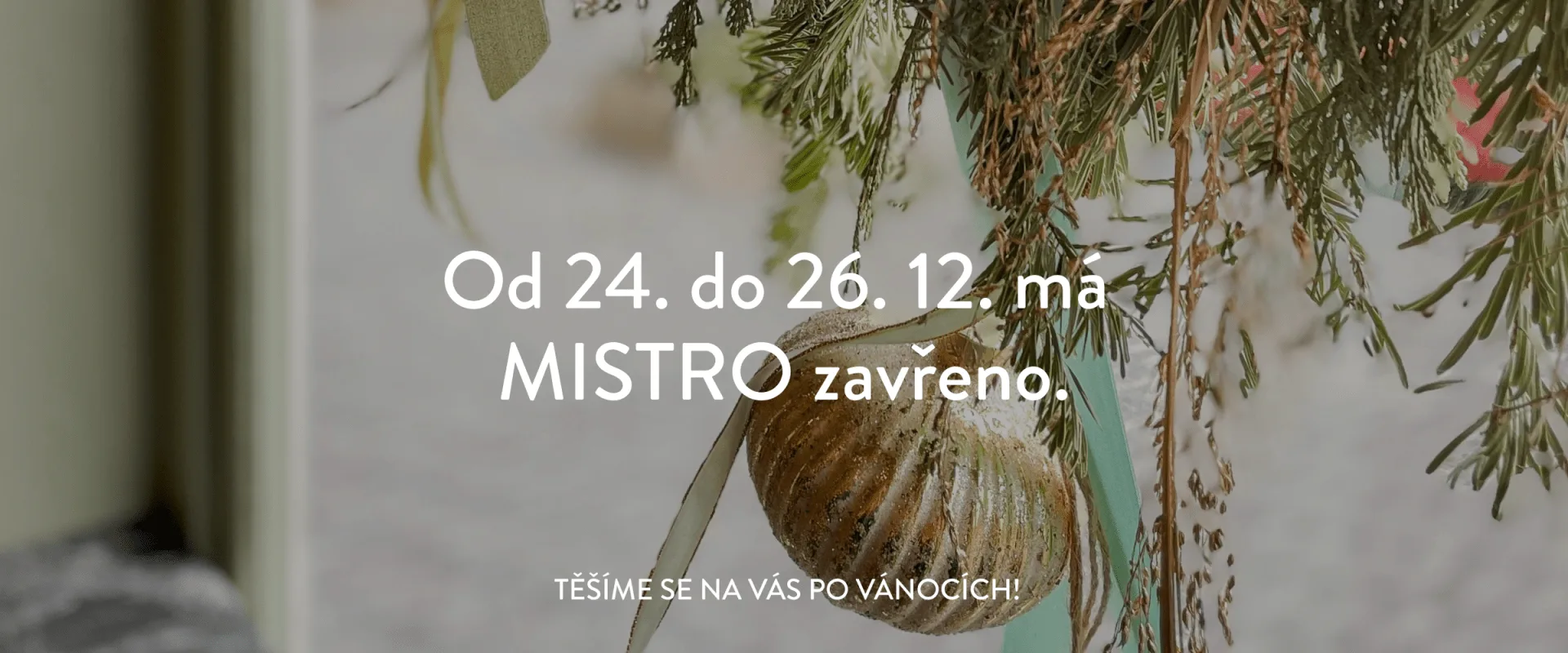 MISTRO — photo 25
