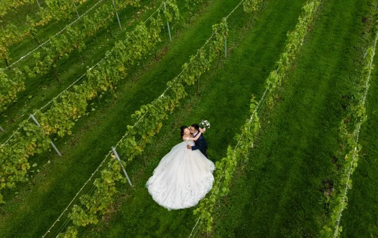 Llanerch Vineyard Hotel & Restaurant — photo 36