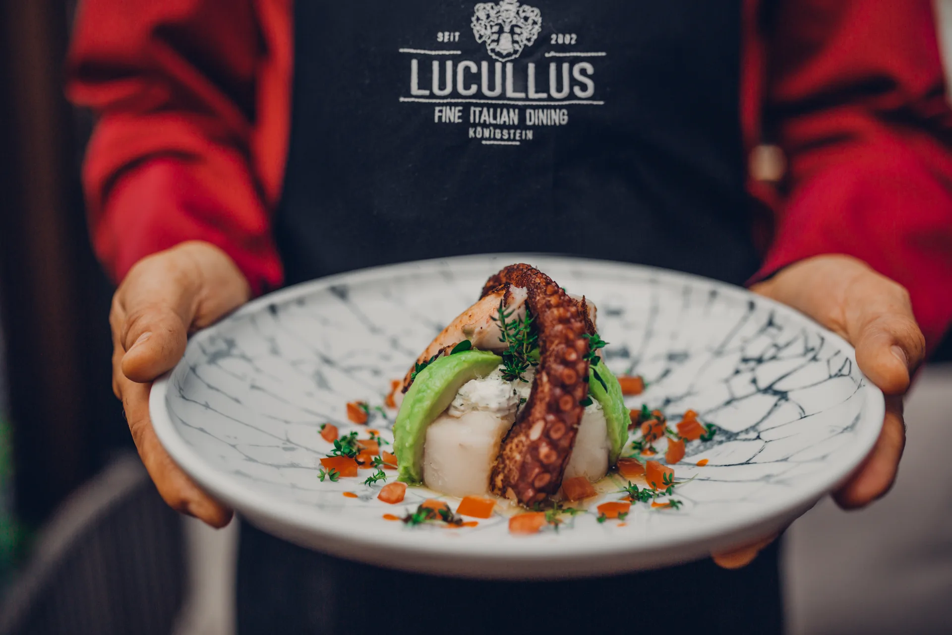 Lucullus — photo 16