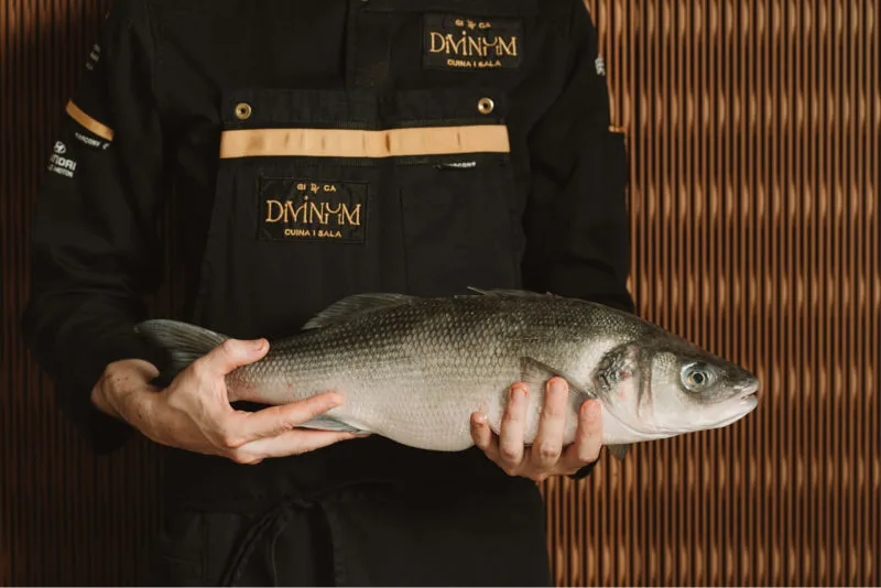 Divinum — food