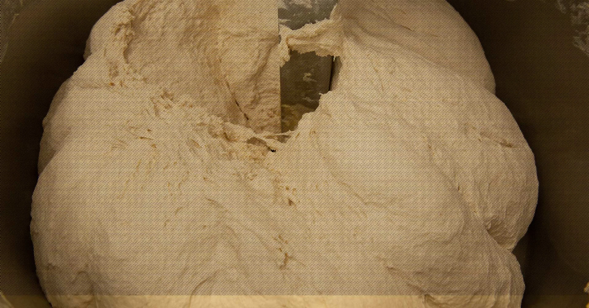 Homiz — photo 10