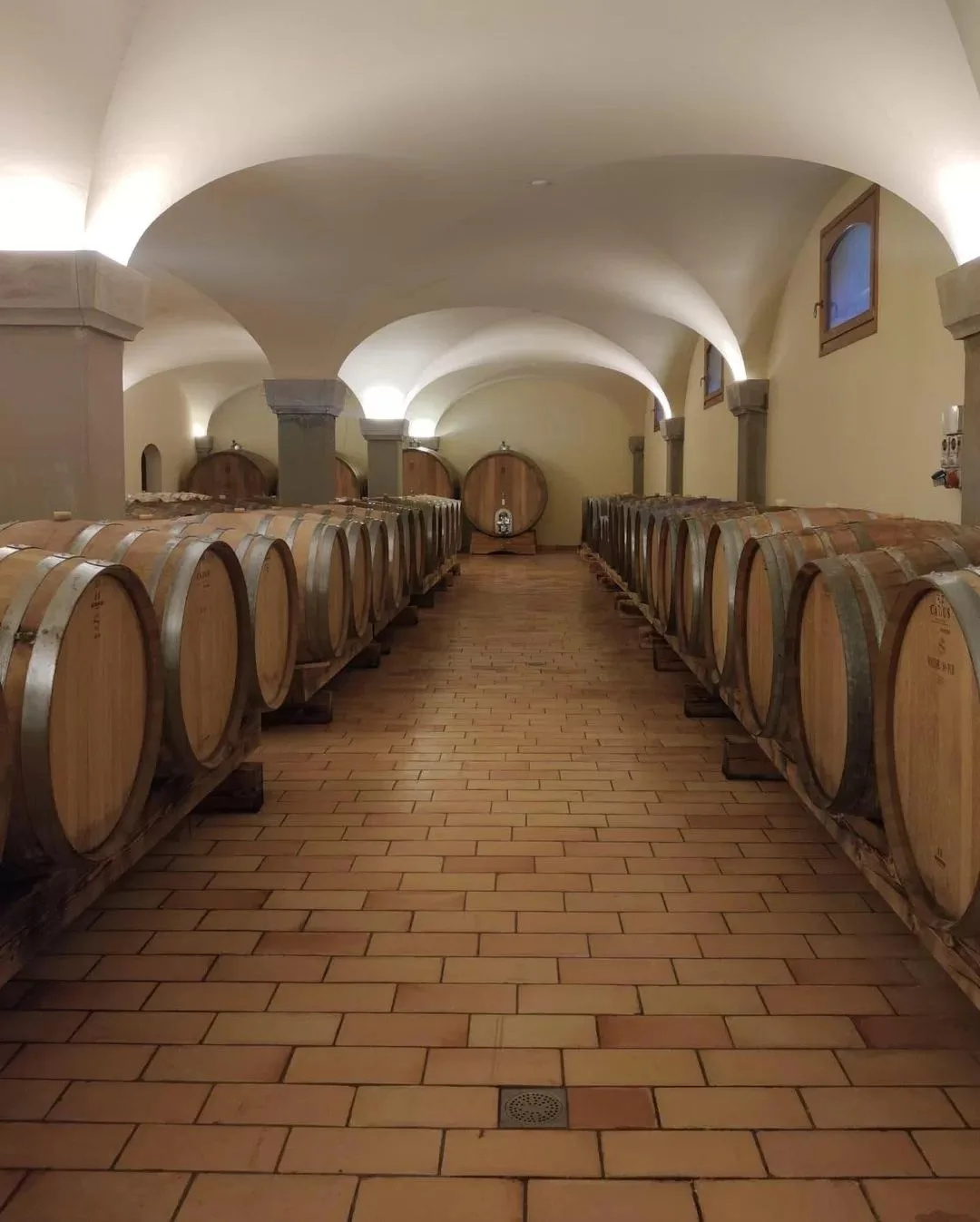 VINARIJA TARPOŠ — photo 28