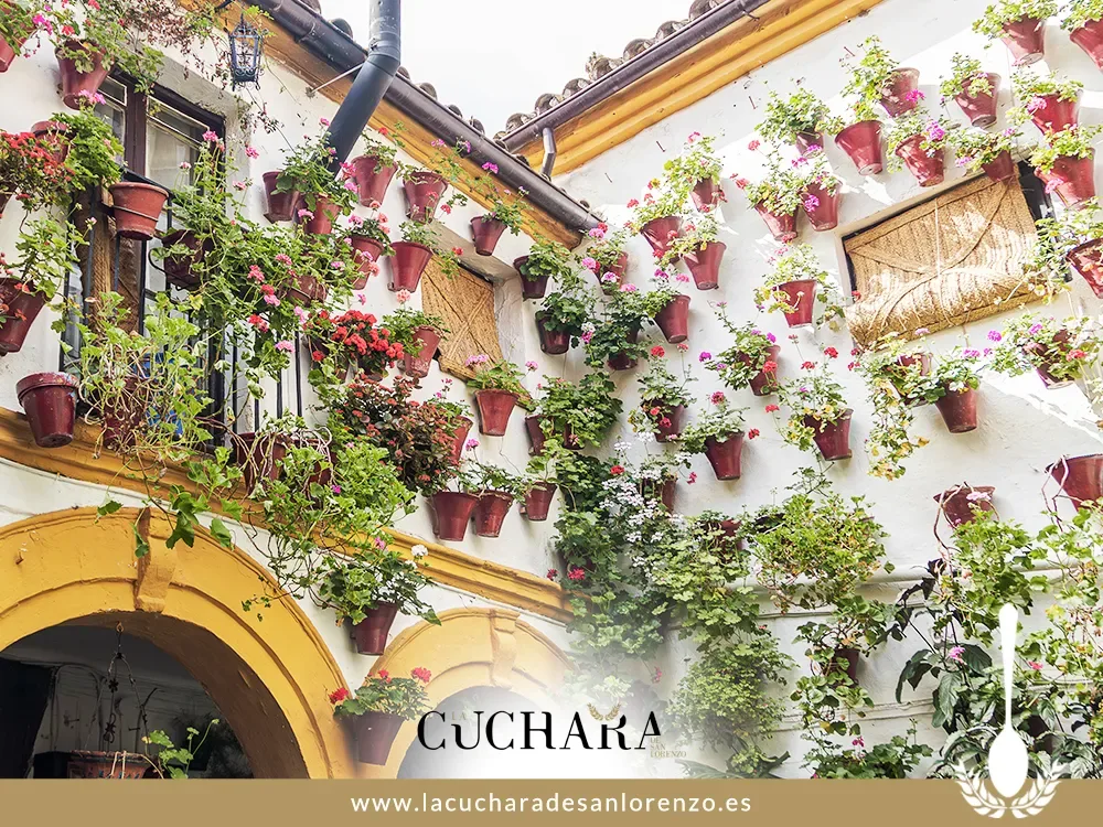 La Cuchara de San Lorenzo — photo 28