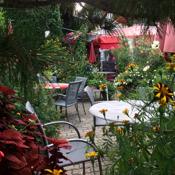 Kininger’s Hirsch — photo 35