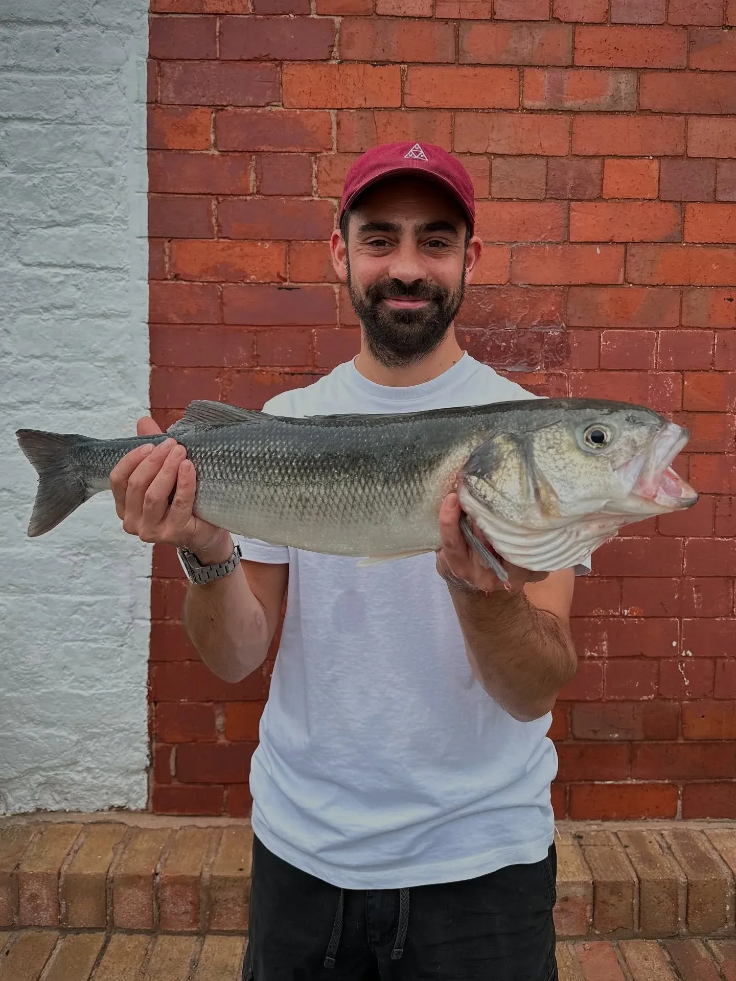 Bolete — photo 20