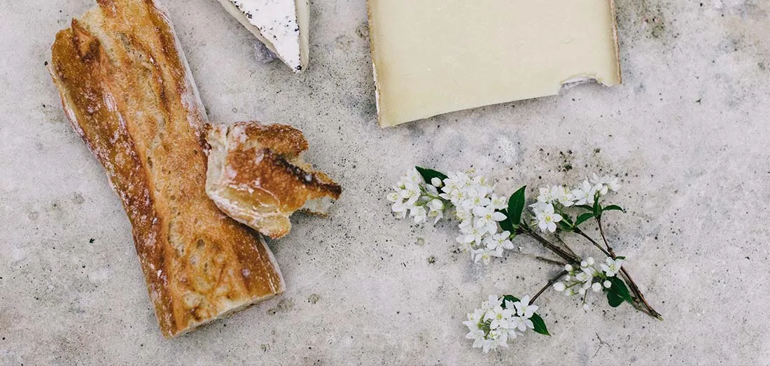 Paneolio — photo 72