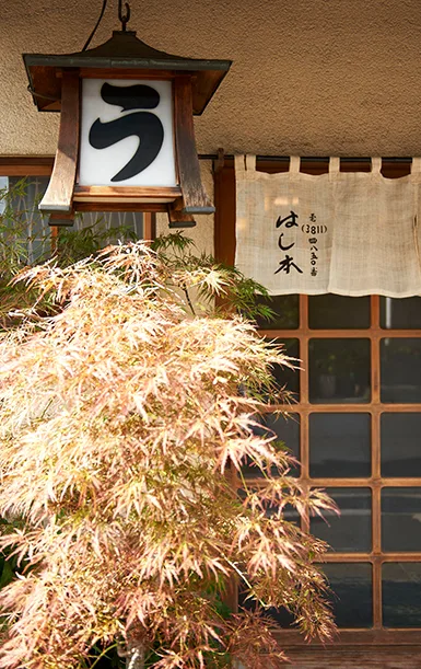 Hashimoto — photo 26