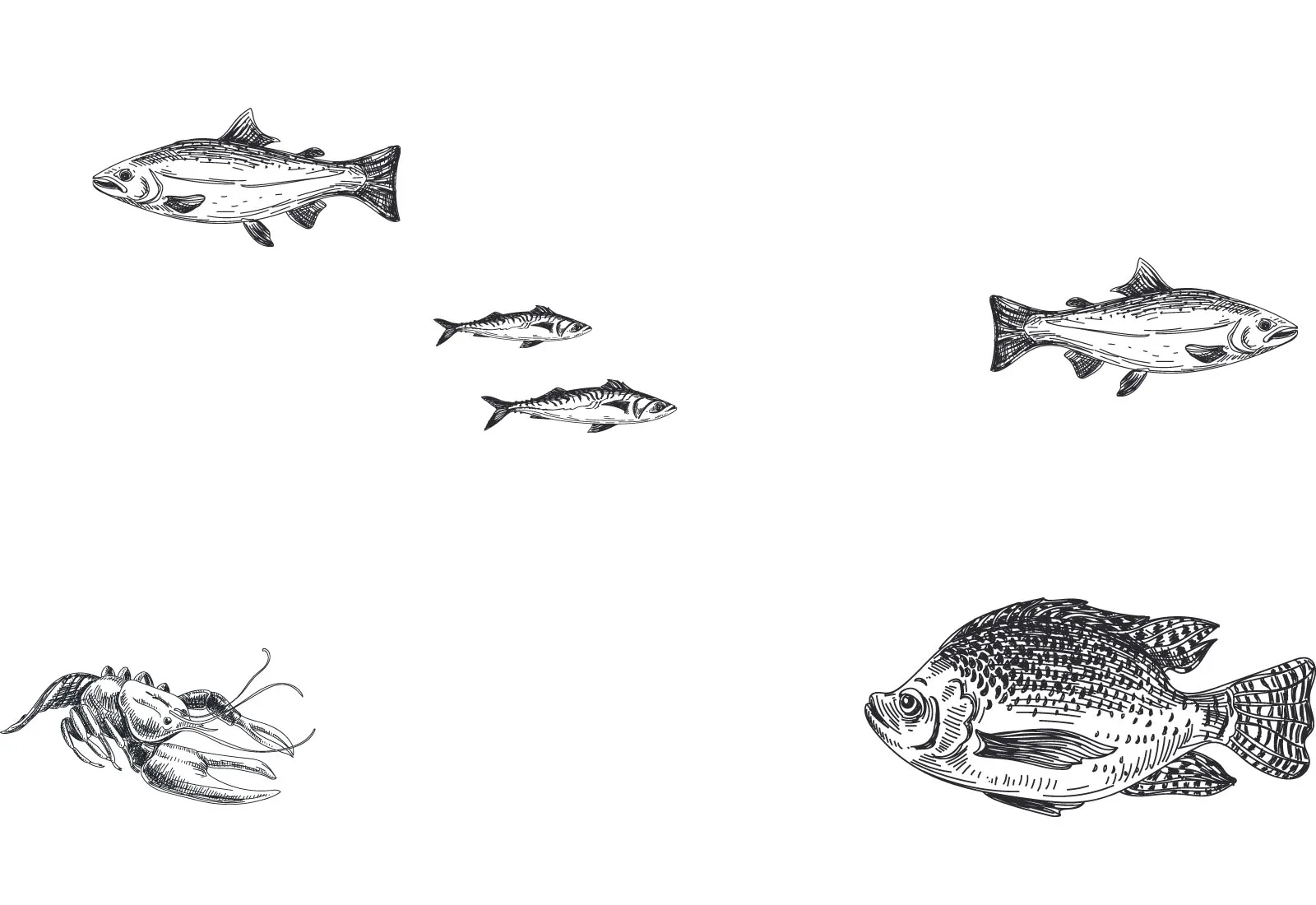 Atlantik Fisch — photo 56