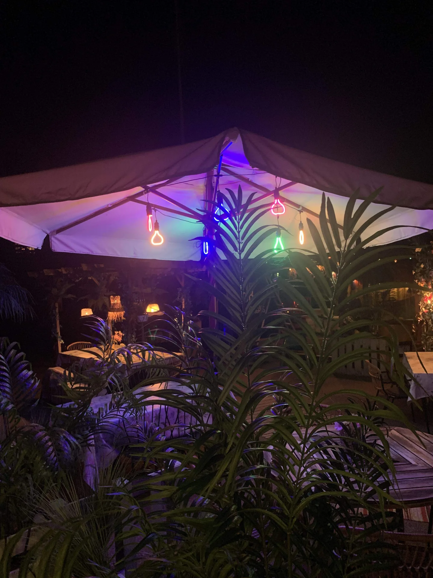 Bistro apan — photo 28