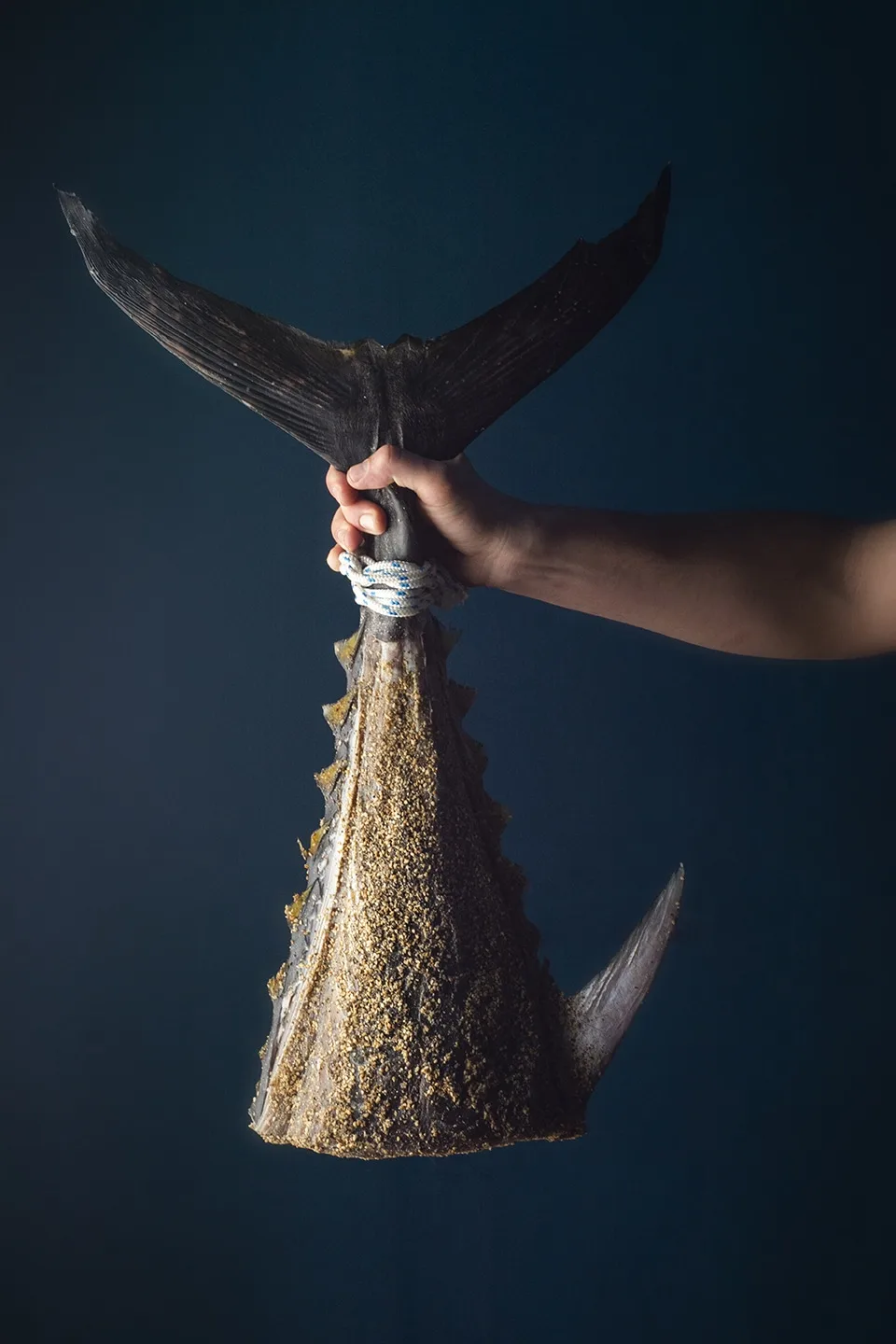 Fishølogy — photo 35