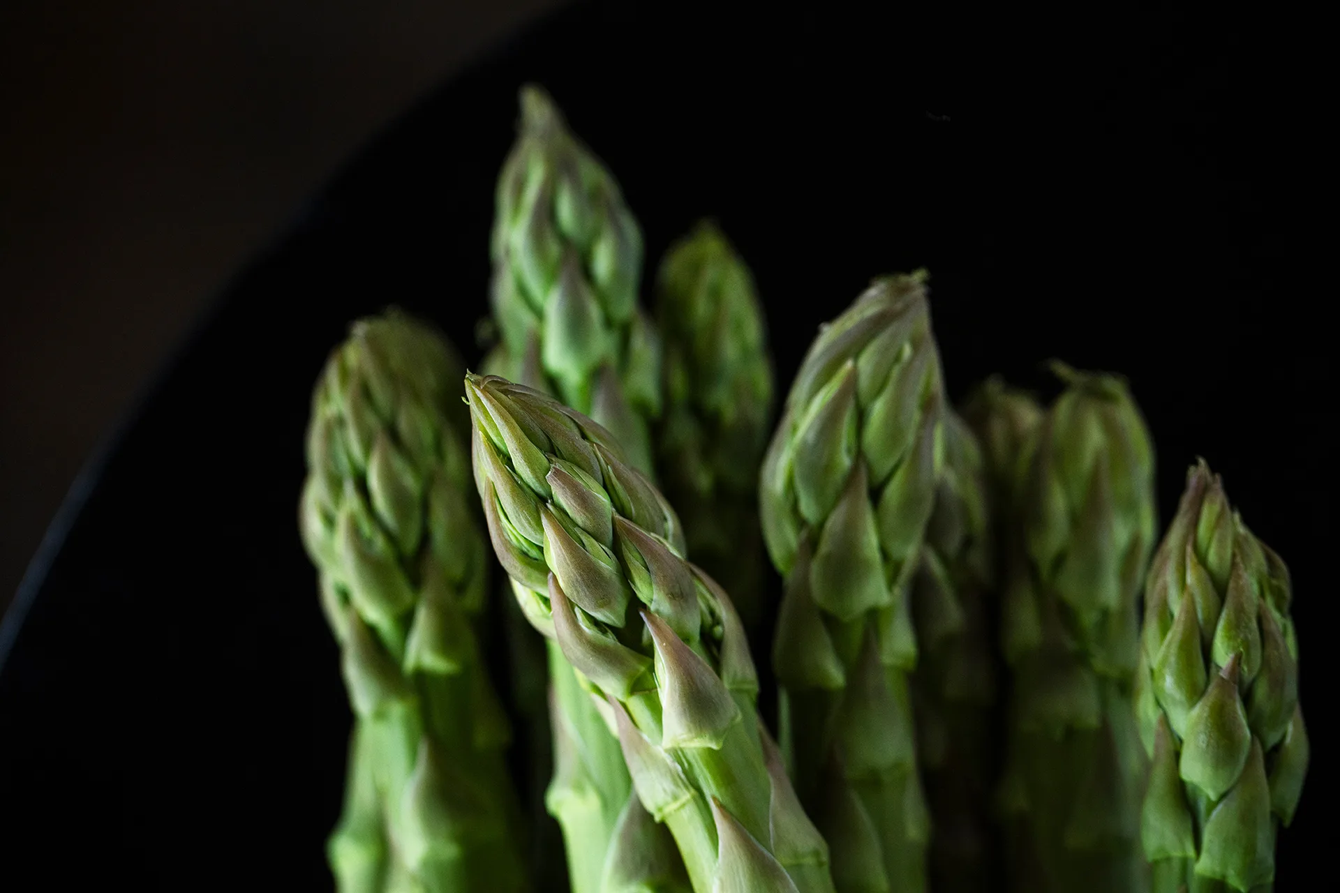 Garrigue — food