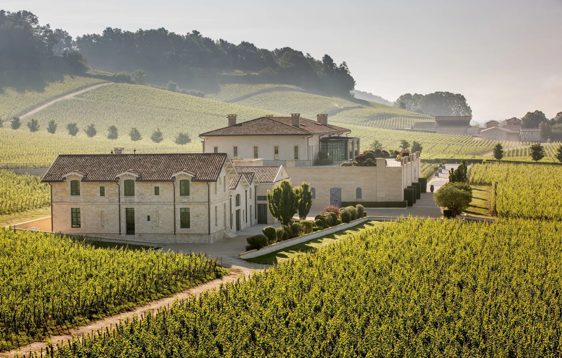 La Table de Pavie — photo 34