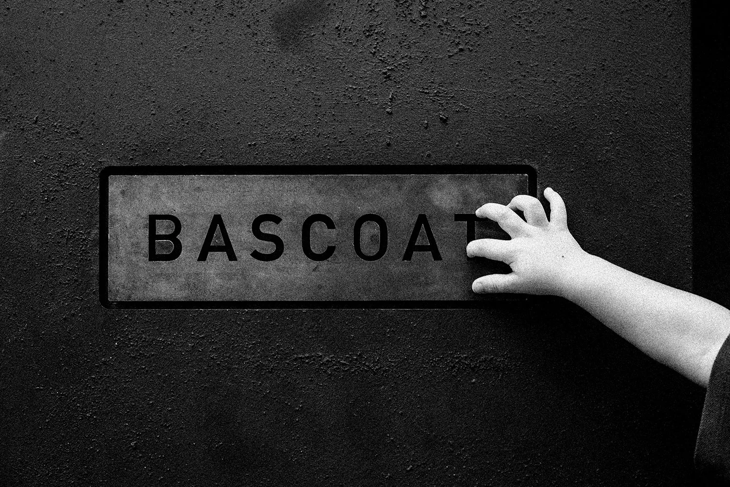 Bascoat — photo 17