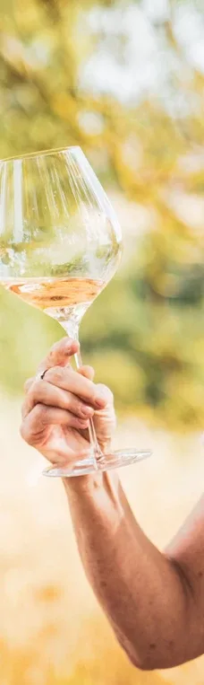Restaurant Dirkjan Decock — drink