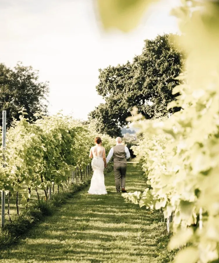 Llanerch Vineyard Hotel & Restaurant — photo 48