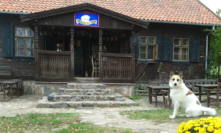 Oberża Pod Psem — photo 59