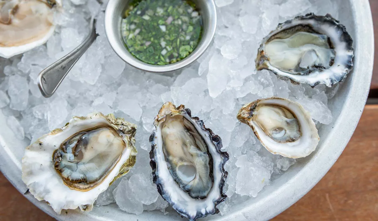 Hog Island Oyster Co. — photo 10