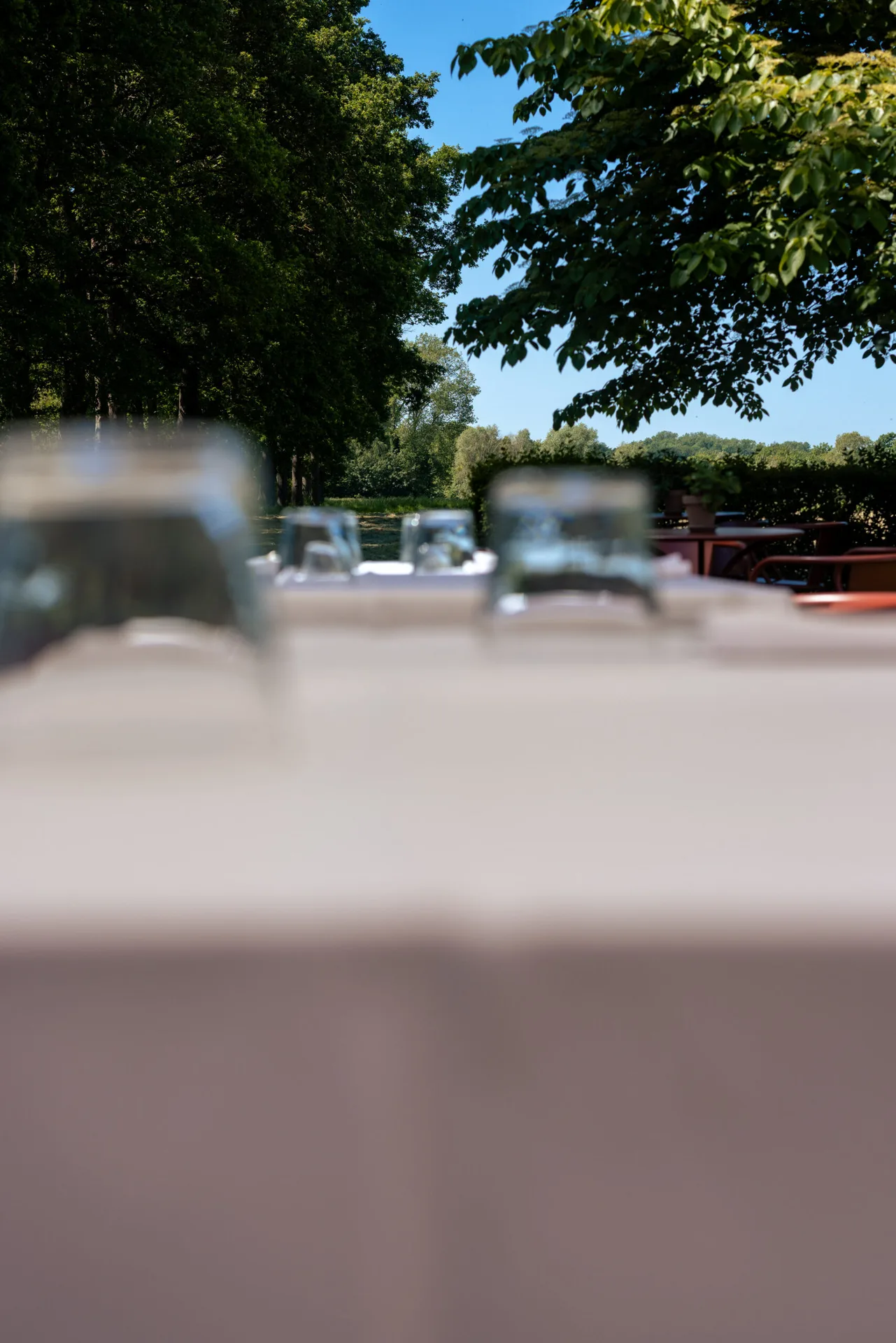De Herten — photo 44