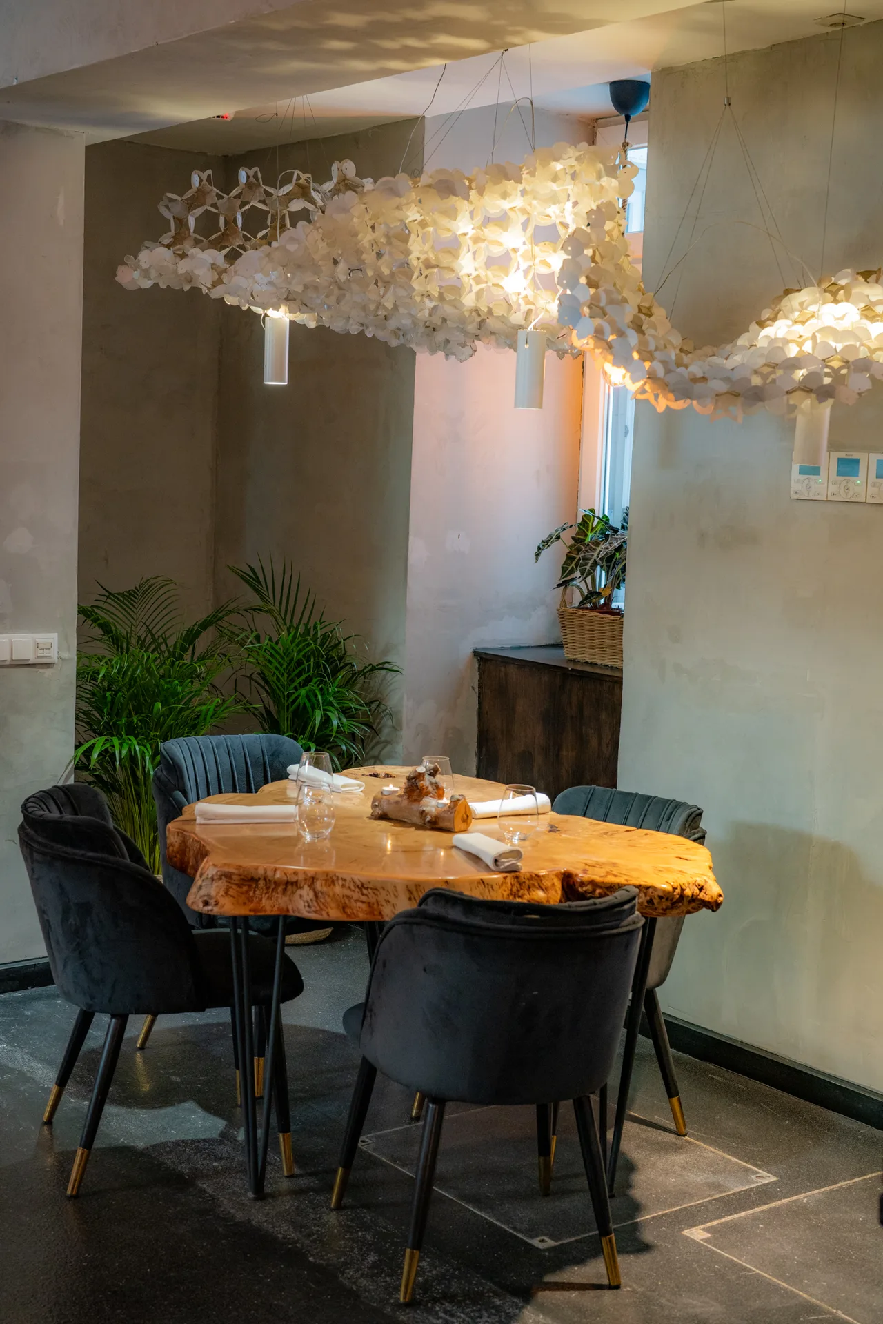 Terroir — photo 10
