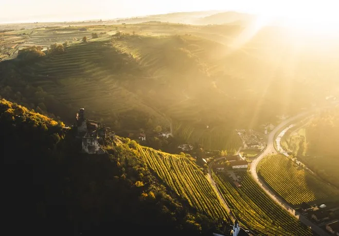 Weingut Nigl — photo 18