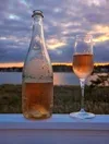 Bluecoast Seafood Grill + Raw Bar — food