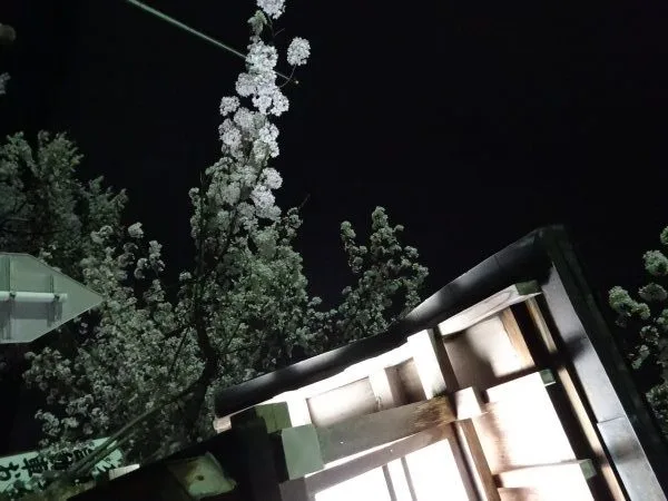 WATAYA — photo 14