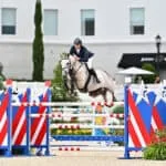 Stirrups — photo 4