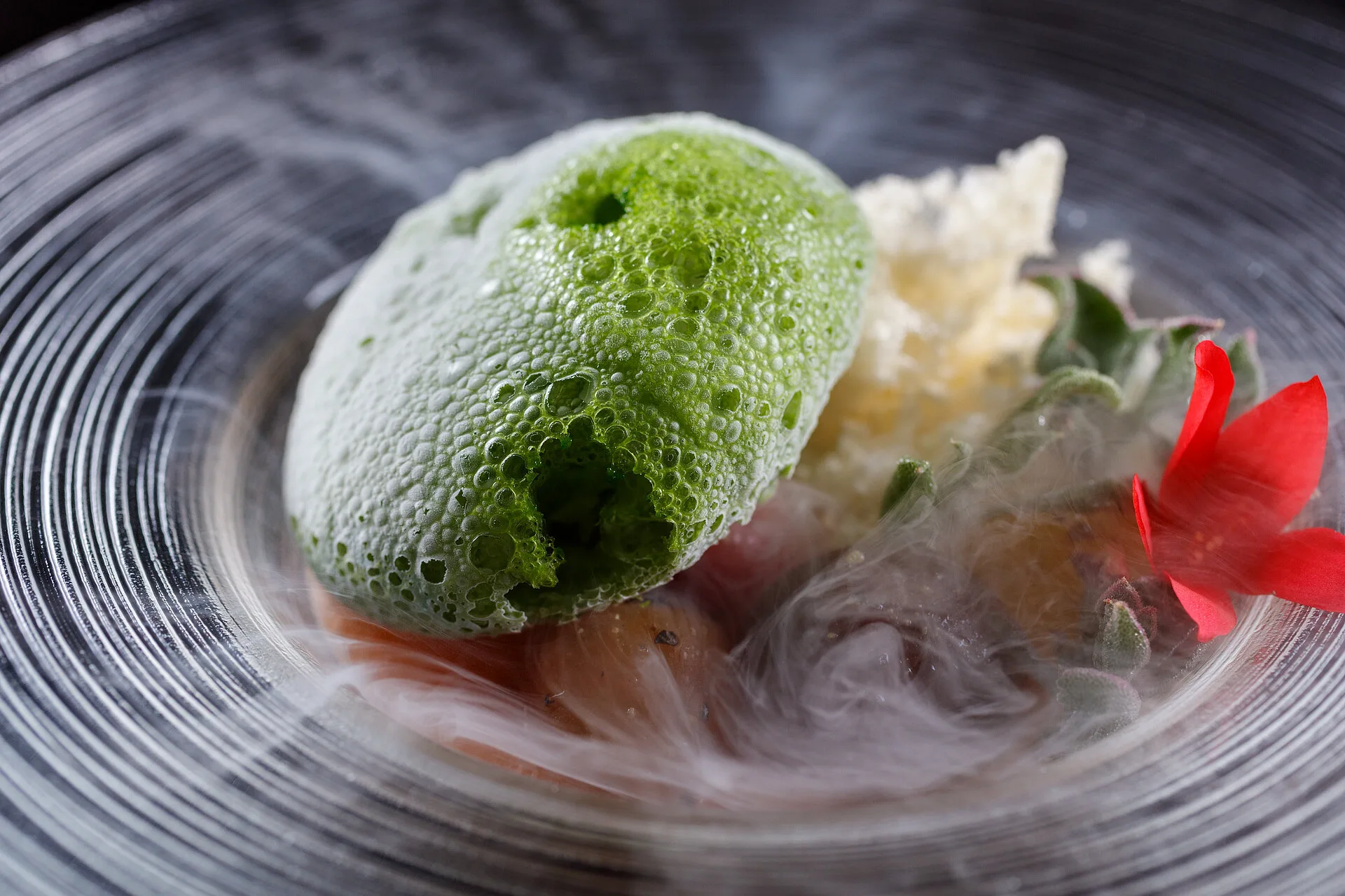 Alinea — photo 18