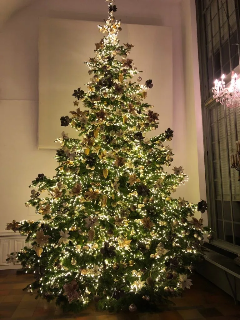 Schlosscafé im Palmenhaus — photo 45