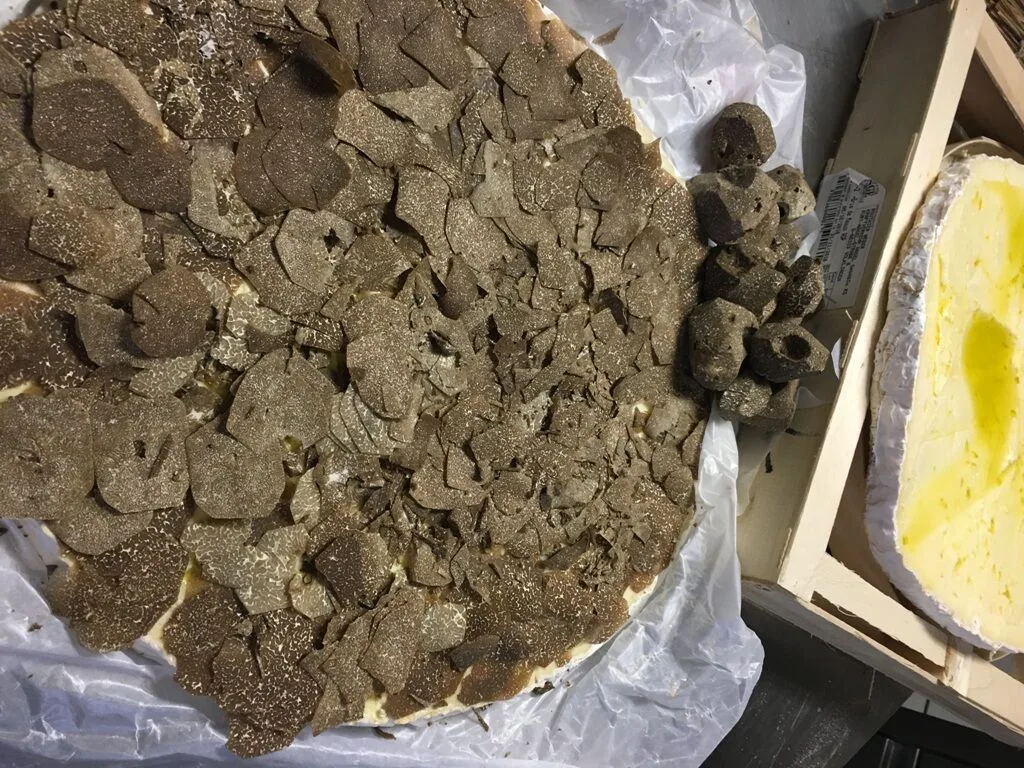Broeding — photo 128