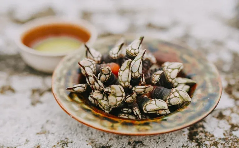 Rivage — food