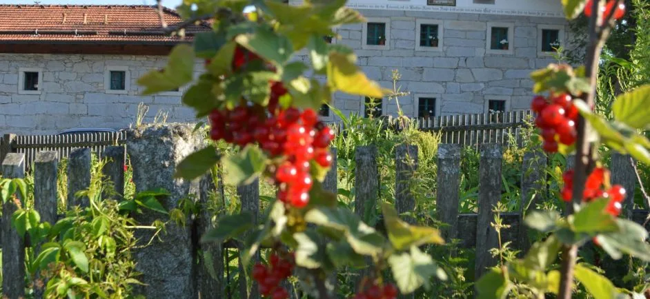 Landgasthaus Gidibauer-Hof — photo 99